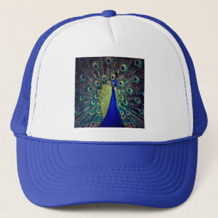 Casquette Paon bleu cobalt