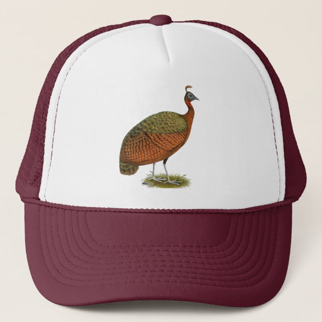 Casquette Paon : Congo Peahen (Devant)