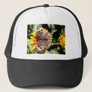 Casquette Papillon Brown coloré avec plusieurs yeux