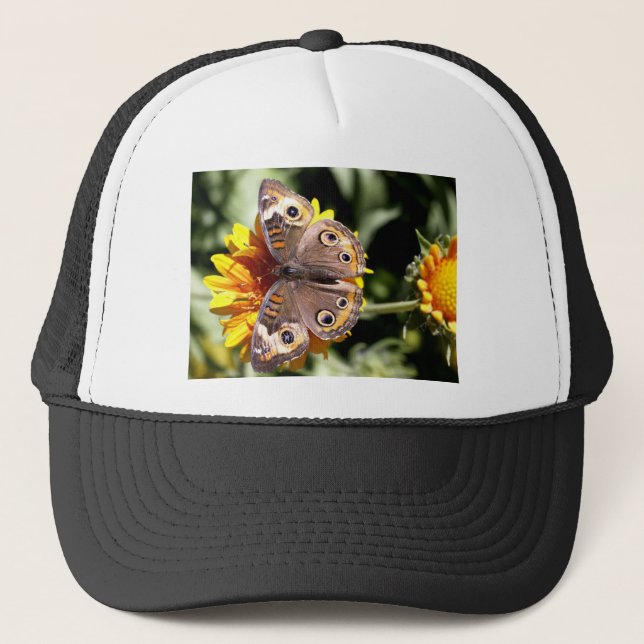 Casquette Papillon Brown coloré avec plusieurs yeux (Devant)