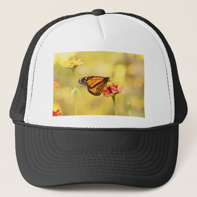 Casquette Papillon Monarque sur Zinnia (Devant)