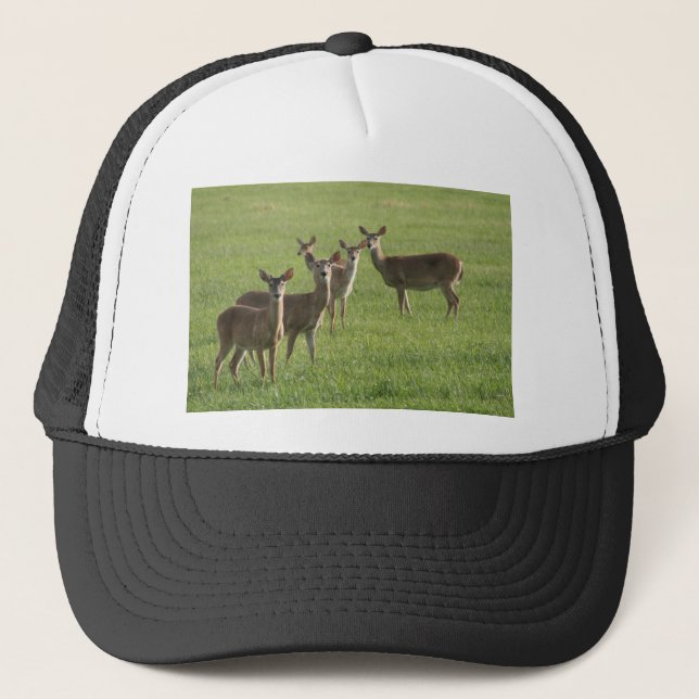 Casquette Paradis de cerfs communs (Devant)