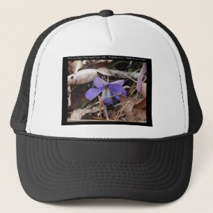 Casquette Parc national de Hot Springs, AR Cadeaux Violettes