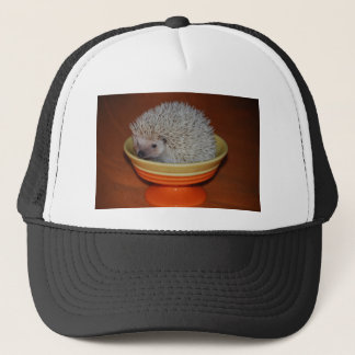 Casquette Parfait de hérisson