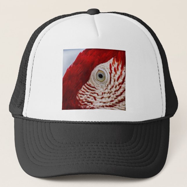Casquette Parrot eye (Devant)