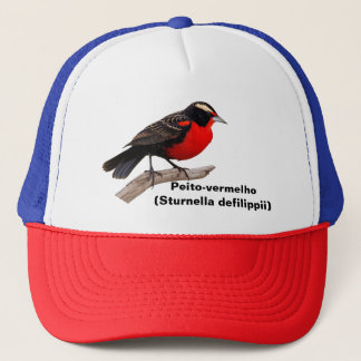 Casquette Pássaro peito-vermelho-grande (Sturnella defilipp)