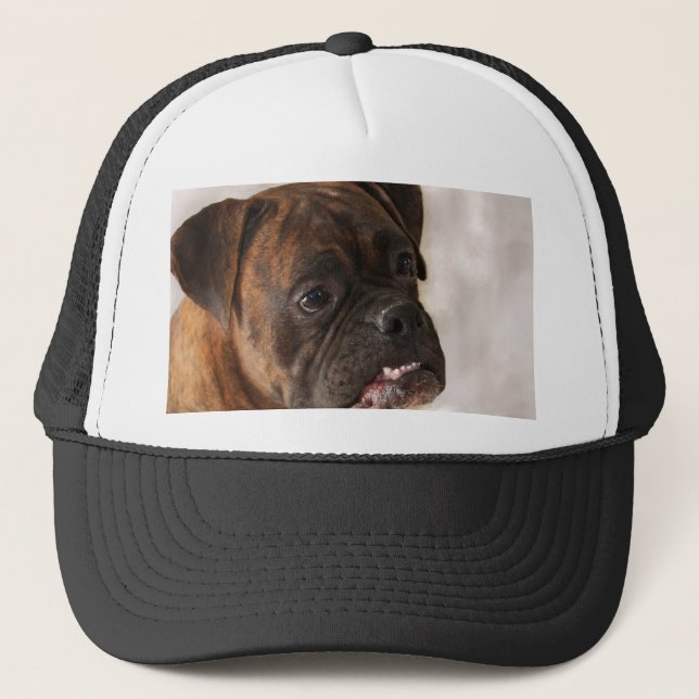 Casquette patriotique de chien de boxeur (Devant)