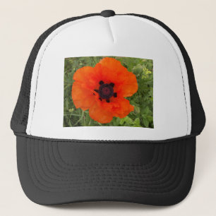 Casquette pavot