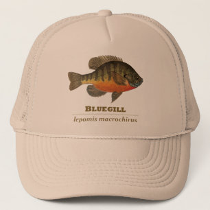Casquette Pêche à la Breve de Bluegill