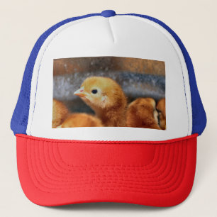 Casquette Peep peep 