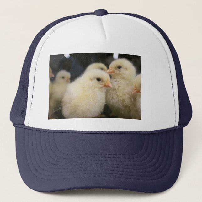 Casquette Peeps  (Devant)