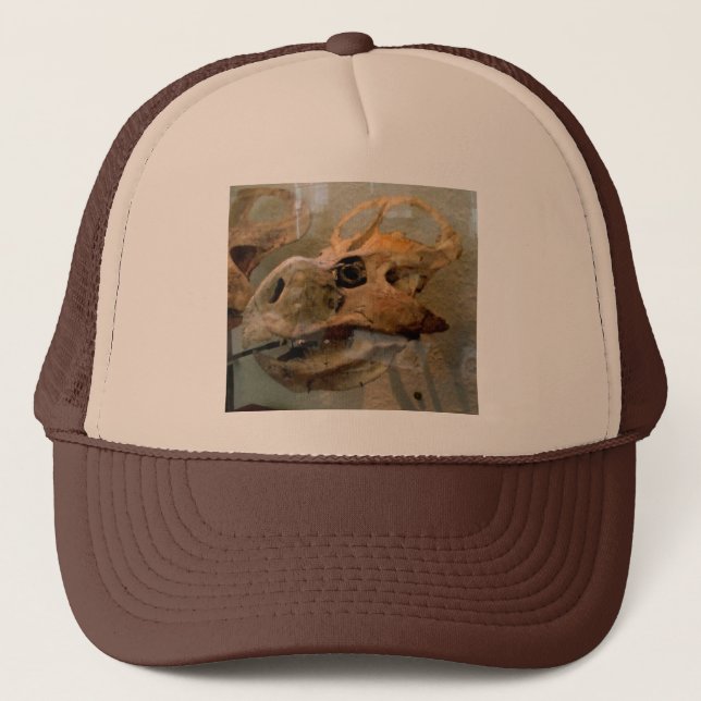 Casquette Peinture à l'huile de crâne Dino (Devant)