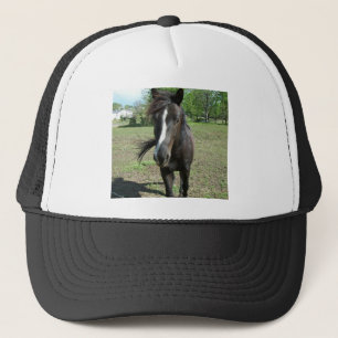 Casquette Peinture de cheval
