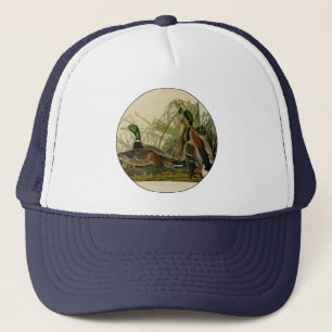 Casquette Peinture d'oiseaux de Mallard Duck Audubon