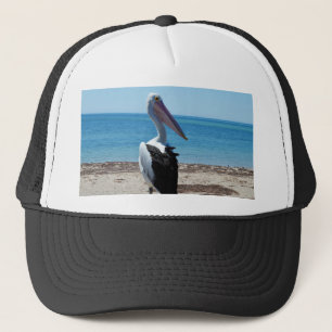 Casquette Pélican sur rocher de plage,