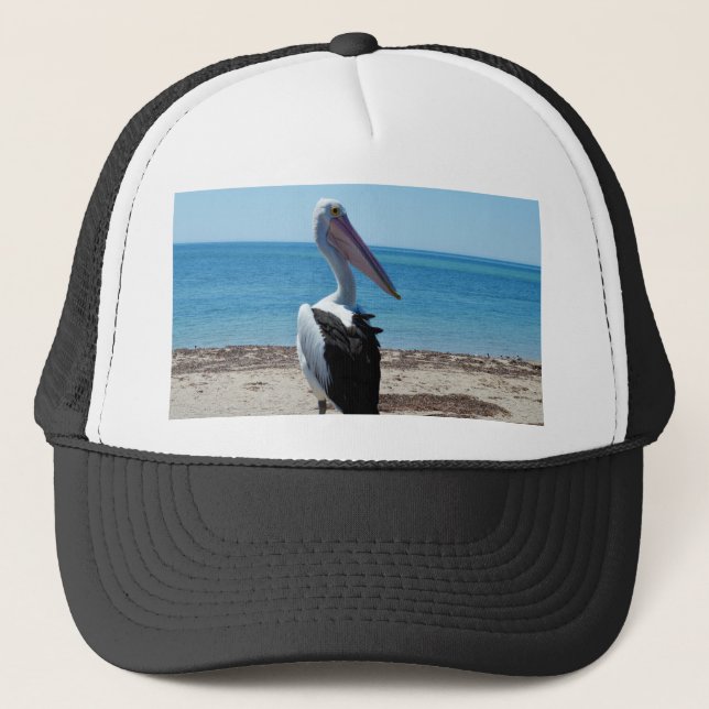 Casquette Pélican sur rocher de plage, (Devant)