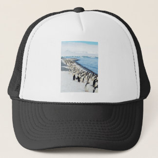 Casquette Pengiuns sur la plage