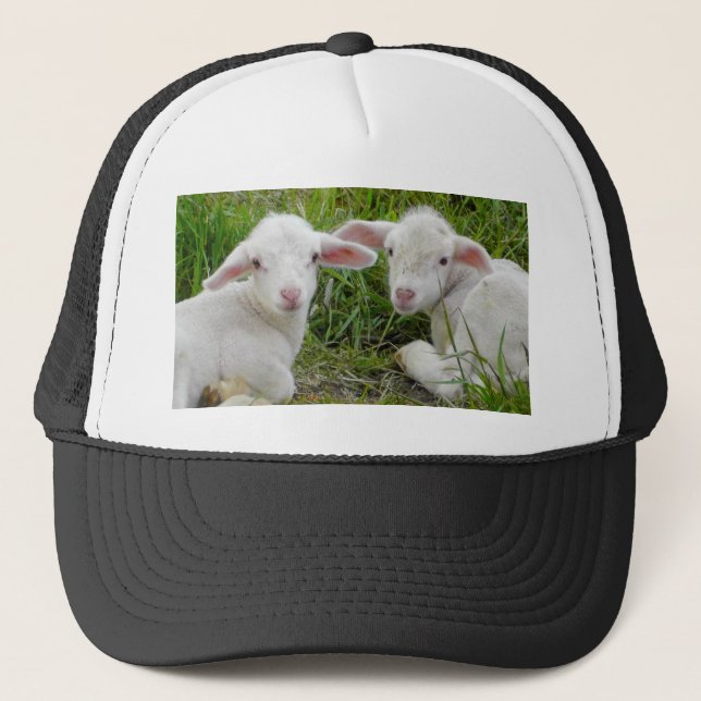 Casquette Pensée animale de bébé jumeau d'agneau à vous (Devant)