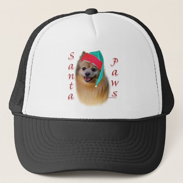 Casquette Père Noël Paws (Devant)