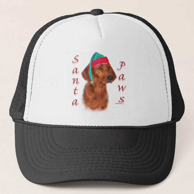 Casquette Père Noël Paws (Devant)