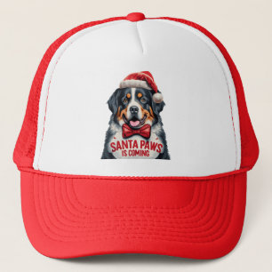 Casquette Père Noël Paws Vient Noël Du Chien Bernais