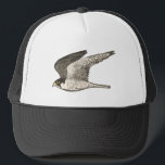Casquette Peregrine Falcon Crayon coloré Art<br><div class="desc">Découvrez cette impressionnante illustration crayon d'un faucon pèlerin et préparez-vous à une certaine vitesse ! Consultez ma boutique pour plus de designs aussi!</div>