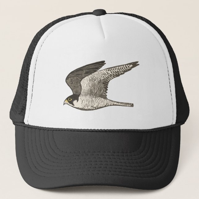 Casquette Peregrine Falcon Crayon coloré Art (Devant)