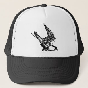 Casquette Peregrine Falcon Sketch