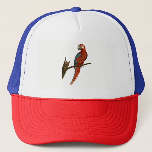 Casquette Perroquet (Devant)