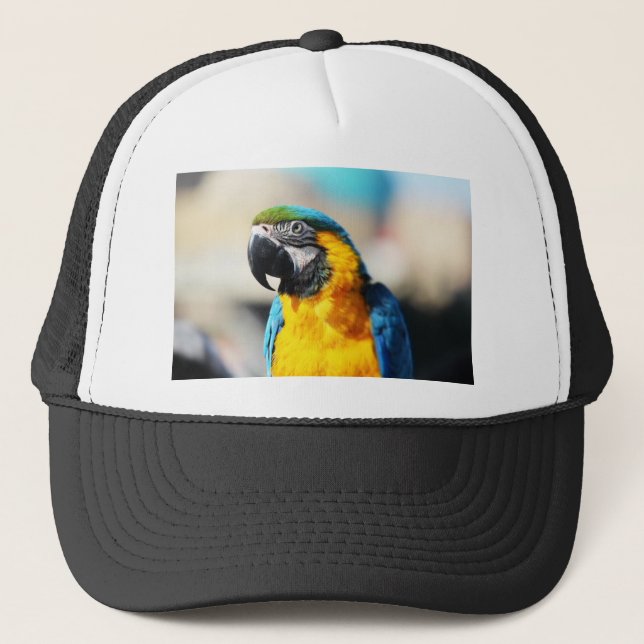 Casquette perroquet (Devant)
