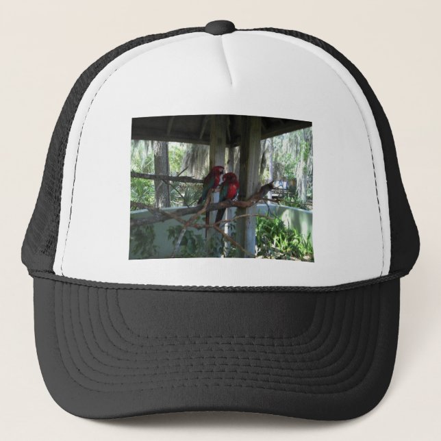 Casquette Perroquet (Devant)