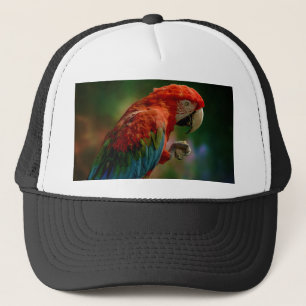 Casquette Perroquet coloré