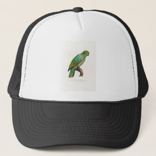 Casquette perroquet de macaw