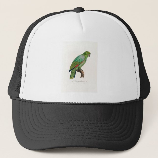 Casquette perroquet de macaw (Devant)