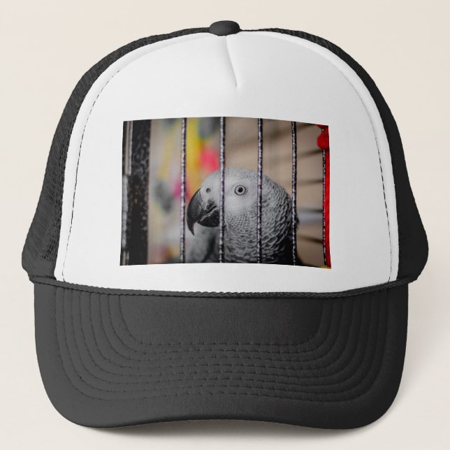 Casquette Perroquet gris (Devant)