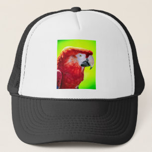 Casquette Perroquet macaw