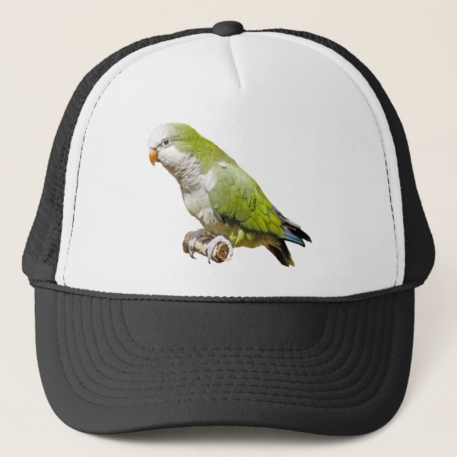 Casquette Perruche de moine (Devant)