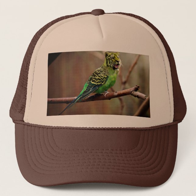 Casquette Perruque de tigre (Devant)