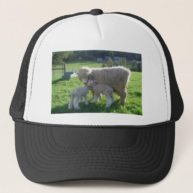 CASQUETTE PETIT AGNEAU (Devant)