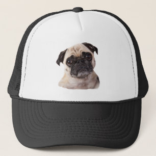 Casquette petit chien mignon de carlin