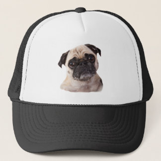 Casquette petit chien mignon de carlin
