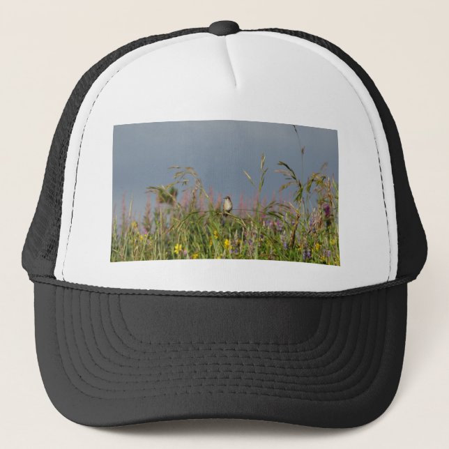 Casquette Petit colibri gras (Devant)