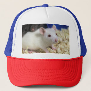 Casquette Petit rat