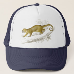 Casquette Peu de dessin vintage d'animal familier d'ours de