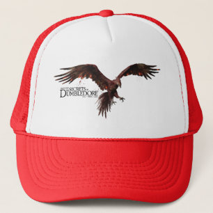 Casquette Phoenix Flying Graphic