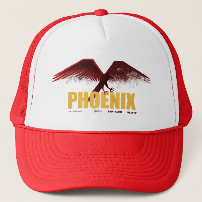 Casquette Phoenix Vingate Graphic (Devant)