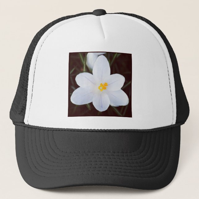 Casquette Photo carré - Crocus Blanc (Devant)