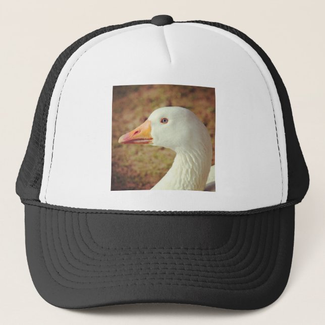 Casquette Photo carré - Oie (Gros plan) (Devant)