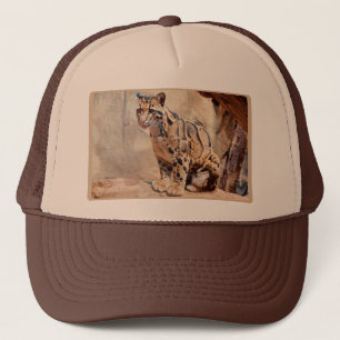 Casquette photo de léopard nuageux nature faune exotique