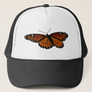 Casquette Photographie de la nature belle papillon Limenitis